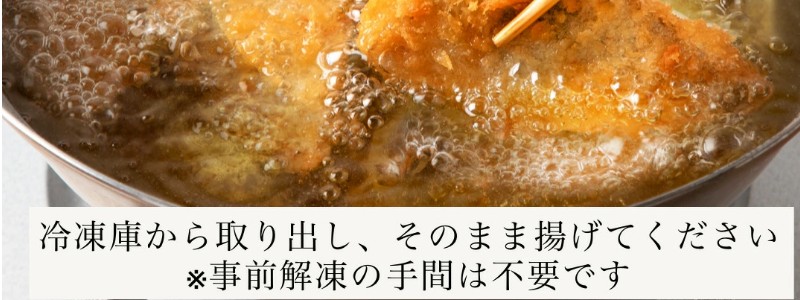 カネナカ食品工業 お刺身アジフライ 骨取り 10枚 冷凍
情報サイト